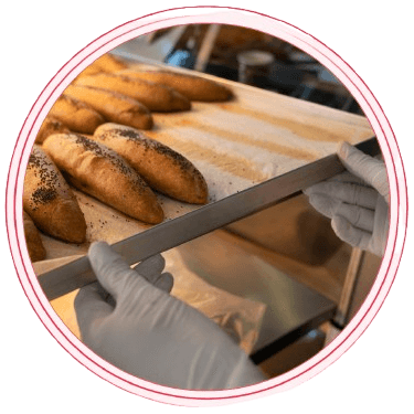 circulo martin braun