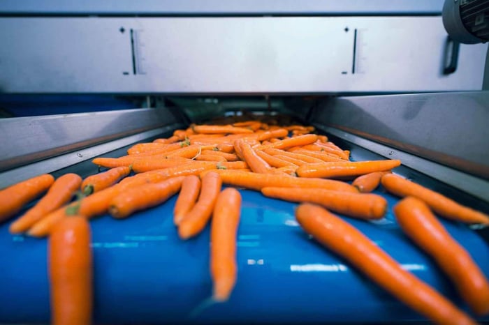 fresh-vegetables-conveyor-belt-being-transported-food-processing-plant-selected-by-its-size