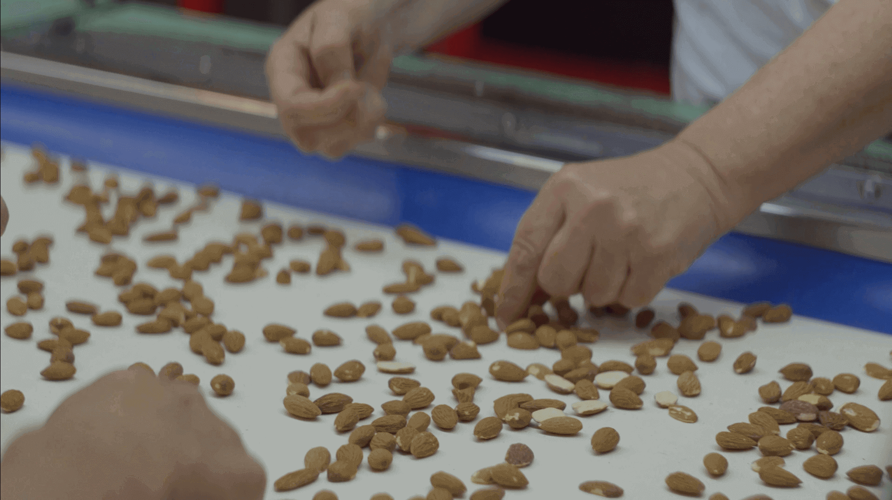 Línea de trabajo Turrones Picó