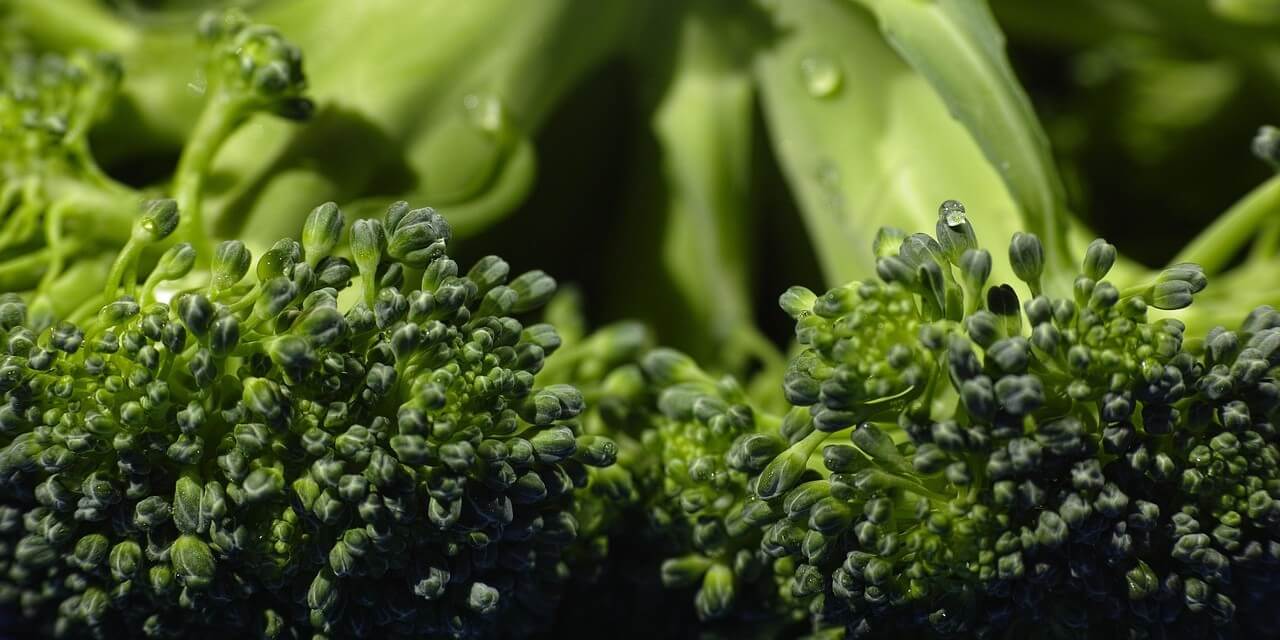 Brócoli fresco, ejemplo de digitalización del sector alimentario
